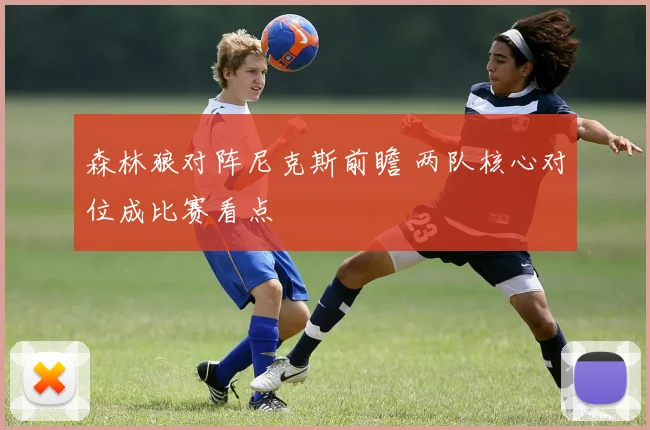 森林狼对阵尼克斯前瞻 两队核心对位成比赛看点